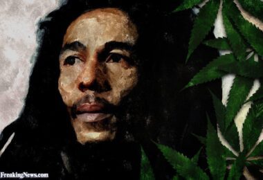 Bob marley tribute
