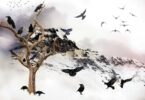 Birds 1988839 960