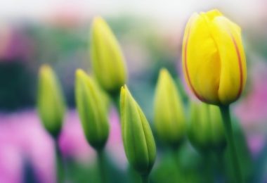 Obrazy na míru 0038483284