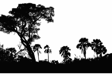 Africa