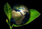 Eco