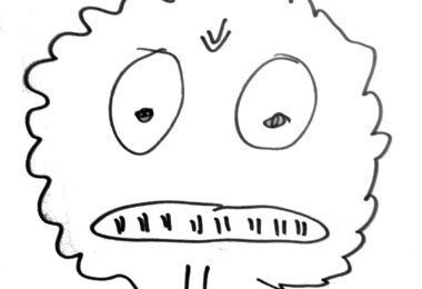 DSCN6211