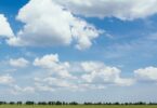 grass field at daytime