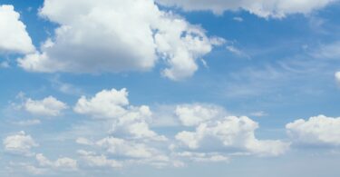 grass field at daytime