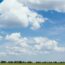 grass field at daytime
