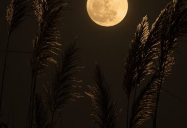 full moon