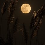 full moon