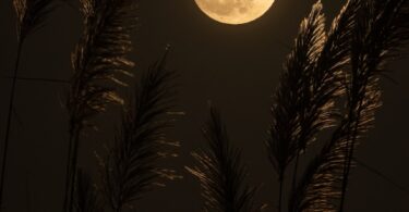 full moon