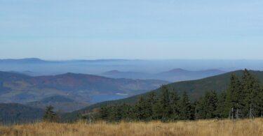 a grassy field with trees and mountains in the background