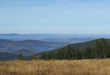a grassy field with trees and mountains in the background