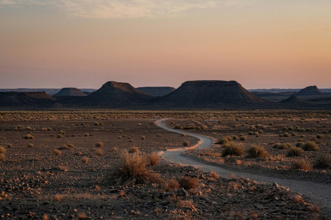 A dirt road in the middle of a desert
