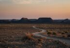 A dirt road in the middle of a desert