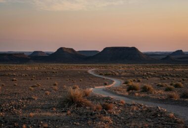 A dirt road in the middle of a desert