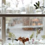 A window sill filled with vases and plants