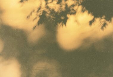 A blurry photo of a tree with a bird perched on top of it