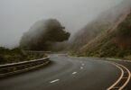 A curved road with a tree on the side of it