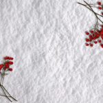 greeting card, snow, berries
