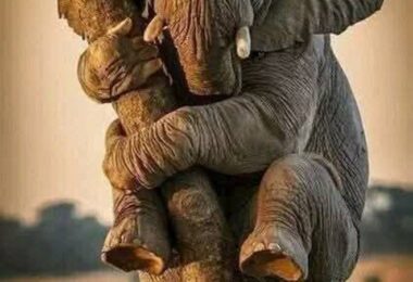 480215807 122193636794120237 6477670708525759318 n