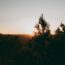 Sunset over a silhouetted forest.