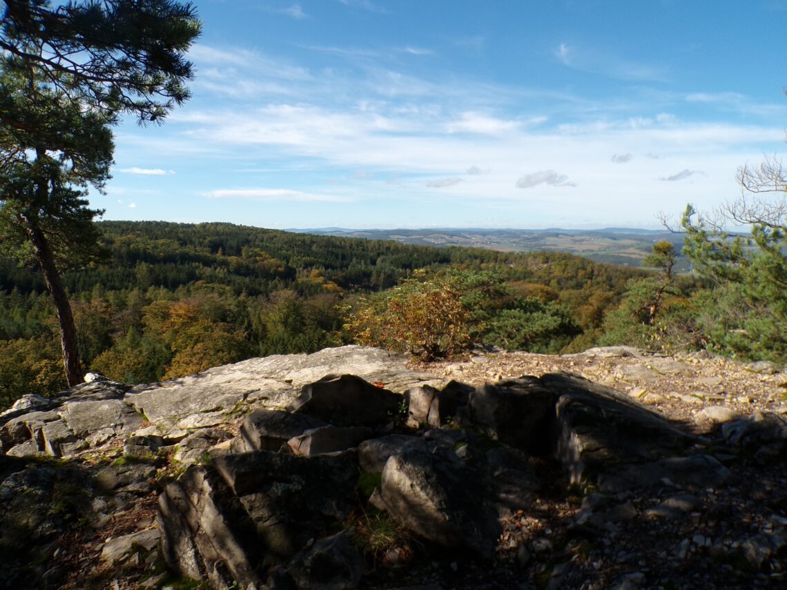 Kodak digital still camera