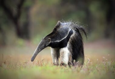 506228258 122211180314120237 36822804715440496 n