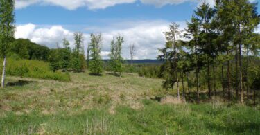 Kodak digital still camera