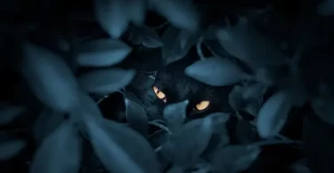 B8ac1b21 c384 4949 ab88 db43fae82bca