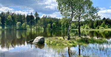 U hladového rybníka