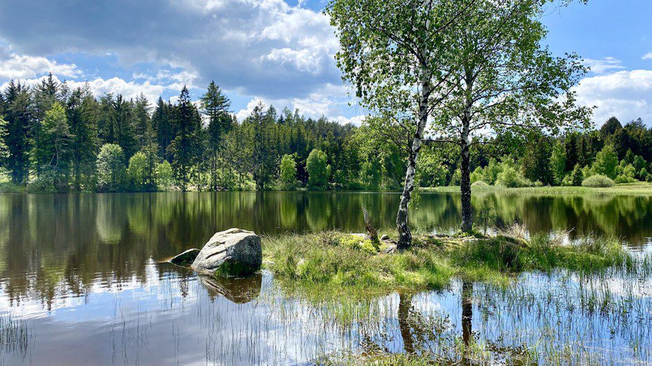 U hladového rybníka