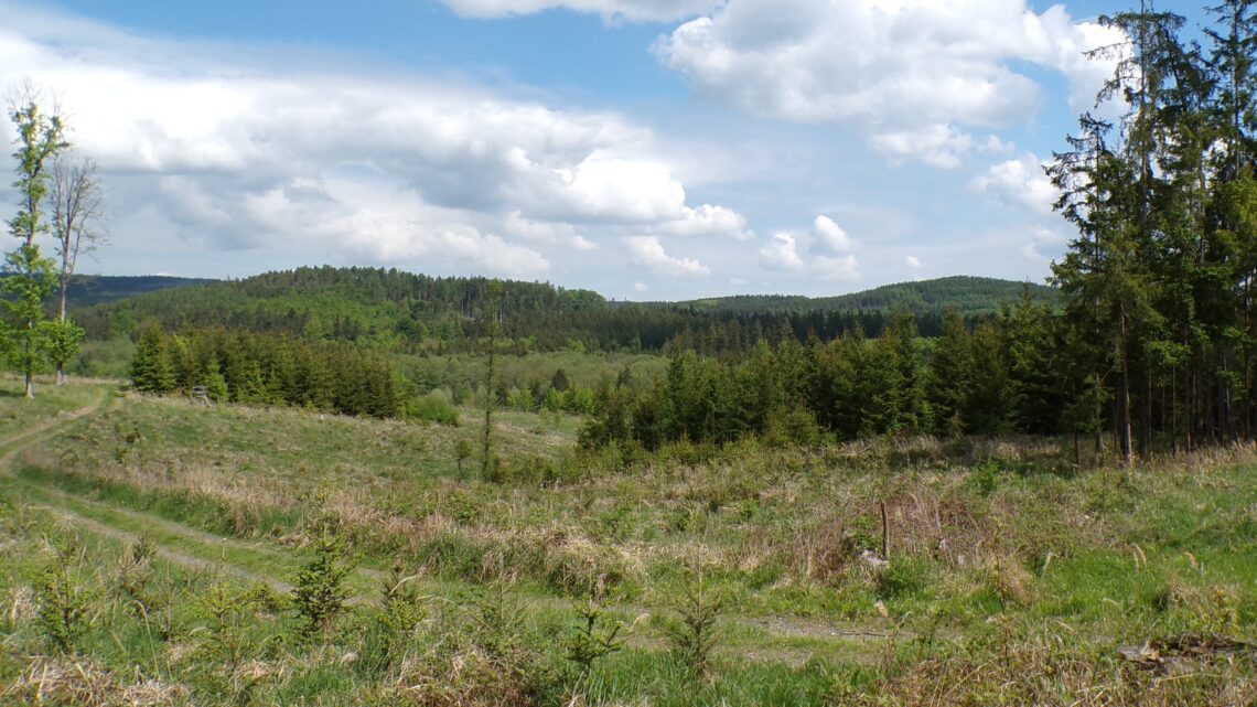 Kodak digital still camera