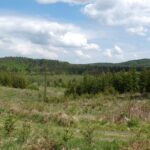 Kodak digital still camera