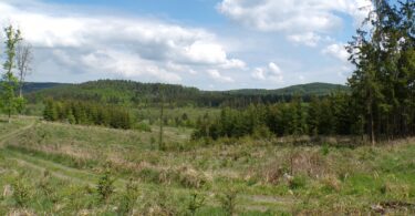 Kodak digital still camera