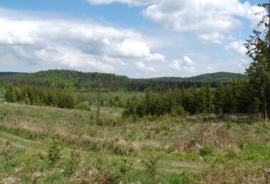 Kodak digital still camera