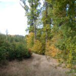 Kodak digital still camera