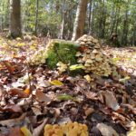 Kodak digital still camera