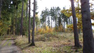 Kodak digital still camera