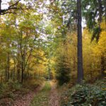 Kodak digital still camera