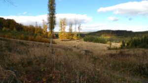 Kodak digital still camera