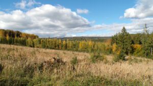 Kodak digital still camera