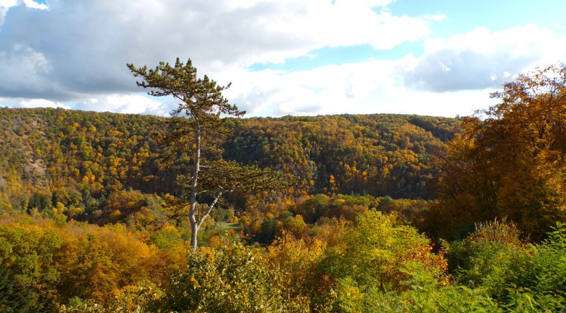 Kodak digital still camera