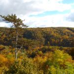 Kodak digital still camera