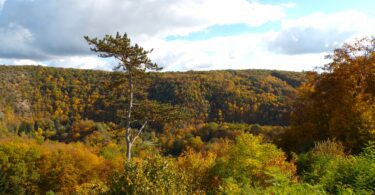 Kodak digital still camera