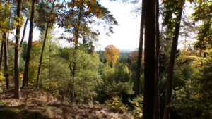 Kodak digital still camera