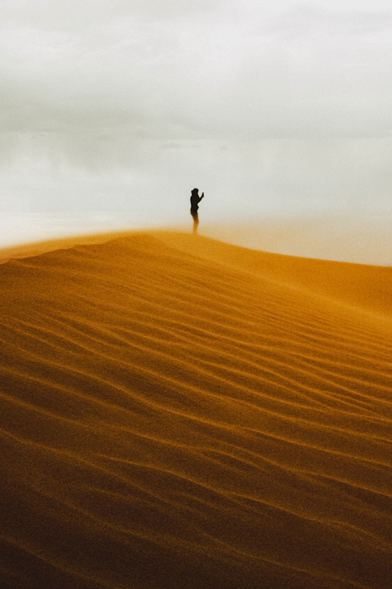 A lone figure stands on a sand dune at sunset.