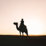 Silhouette of a person riding a camel at sunset.