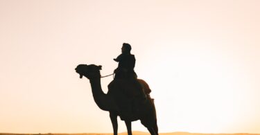 Silhouette of a person riding a camel at sunset.