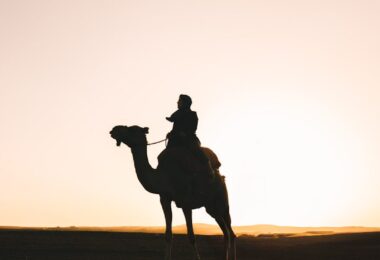 Silhouette of a person riding a camel at sunset.