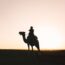 Silhouette of a person riding a camel at sunset.