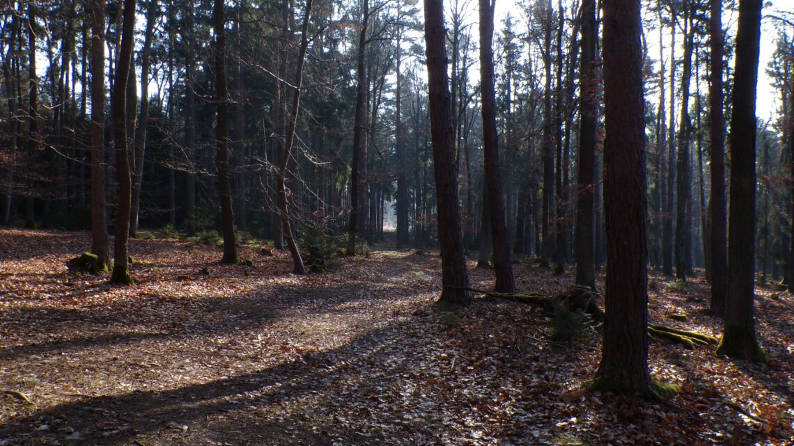 KODAK Digital Still Camera