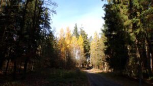 KODAK Digital Still Camera